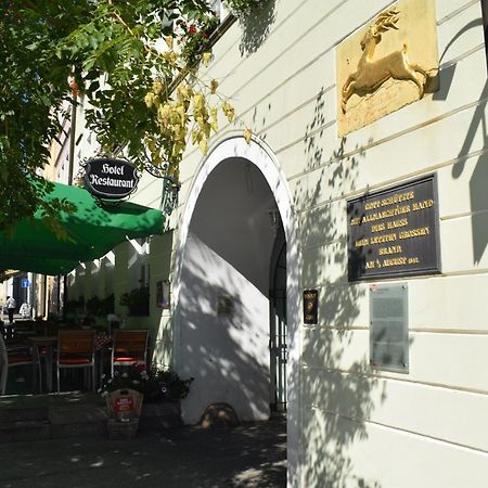 Akzent Hotel Goldner Hirsch Kamenz Buitenkant foto